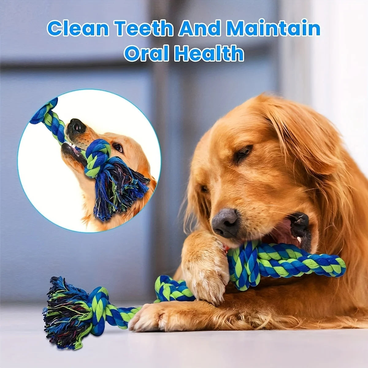 Durable Rope Tug Toy – Chew & Play Training Toy for Dogs
Durable & Safe for Chewing – made with tough, pet-safe cotton fibers.
 Perfect for Interactive Play – great for tug-of-war sessions with your dog. - FureverFriends