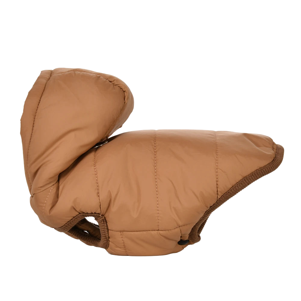 Warm Winter Dog Coat with Hoodie – Thick Cozy Jacket with D-Ring for Easy Walking

✔️ Perfect Warmth & Comfort: Made of thick fleece to keep your dog cozy in cold weather.
✔️ Practical Design: Built-in D-Ring for qu - FureverFriends