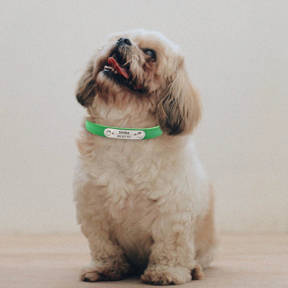 Adjustable Dog Collar – Durable, Comfortable & Stylish for Daily Walks - FureverFriends