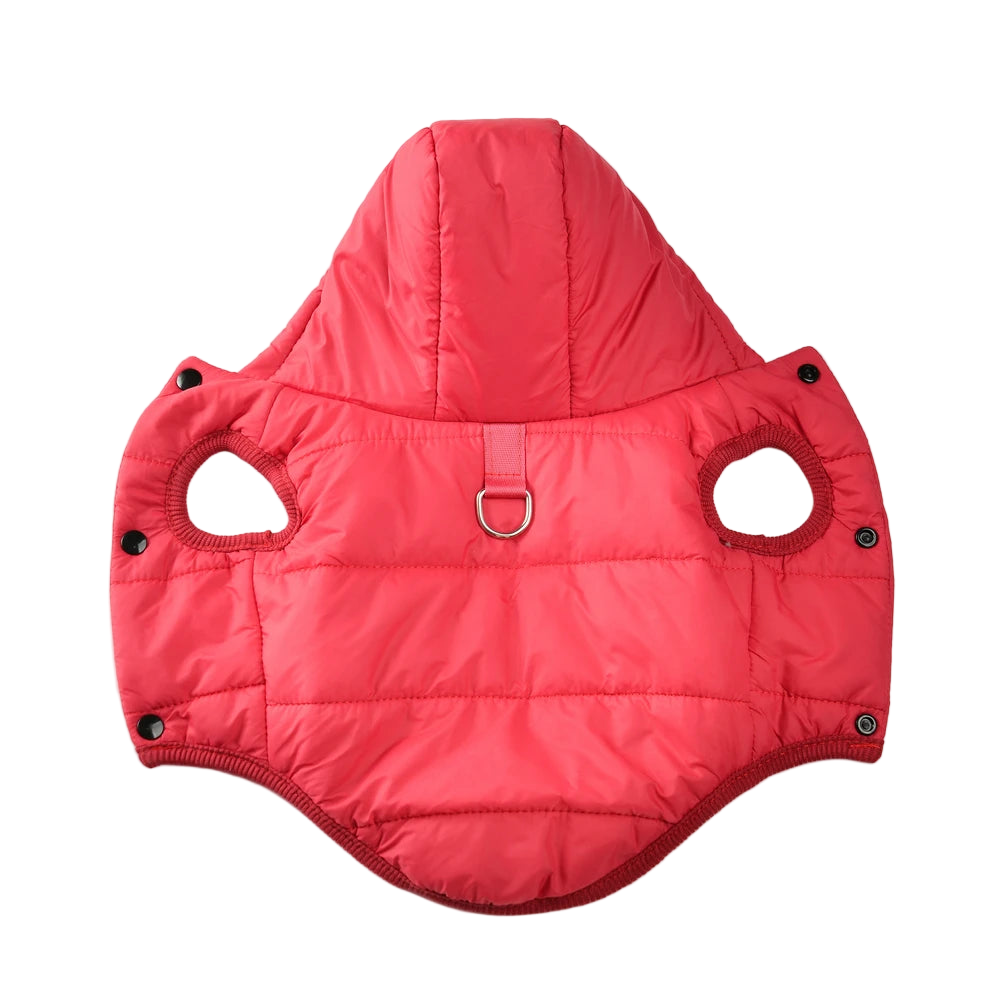 Warm Winter Dog Coat with Hoodie – Thick Cozy Jacket with D-Ring for Easy Walking

✔️ Perfect Warmth & Comfort: Made of thick fleece to keep your dog cozy in cold weather.
✔️ Practical Design: Built-in D-Ring for qu - FureverFriends